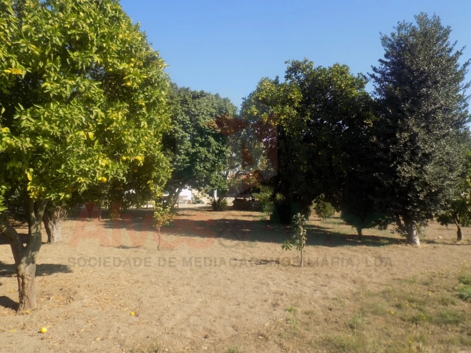 Moradia para Venda em Castêlo da Maia Foto 21