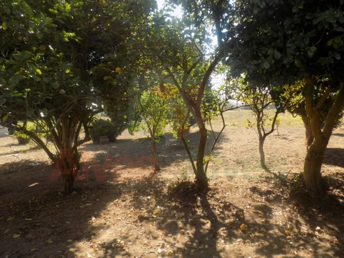 Moradia para Venda em Castêlo da Maia Foto 18