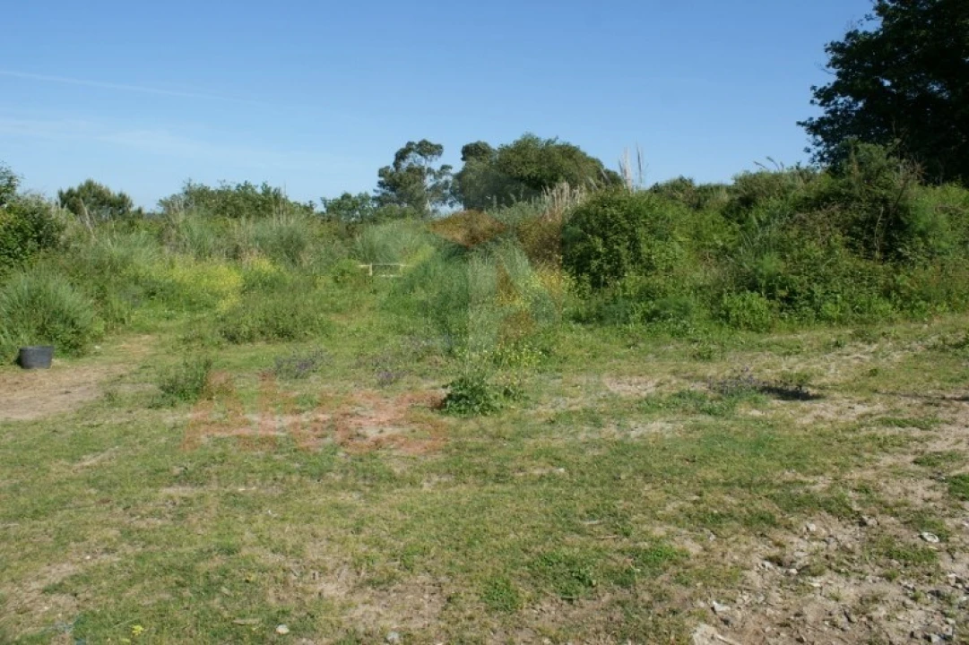 Terreno Comércio / Armazém para Arrendamento em São Mamede de Infesta e Senhora da Hora Foto 7