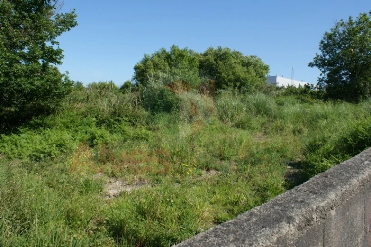 Terreno Comércio / Armazém para Arrendamento em São Mamede de Infesta e Senhora da Hora Foto 5