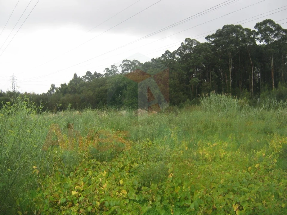 Terreno para Arrendamento em Castêlo da Maia Foto 1