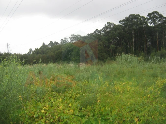 Terreno para Arrendamento em Castêlo da Maia