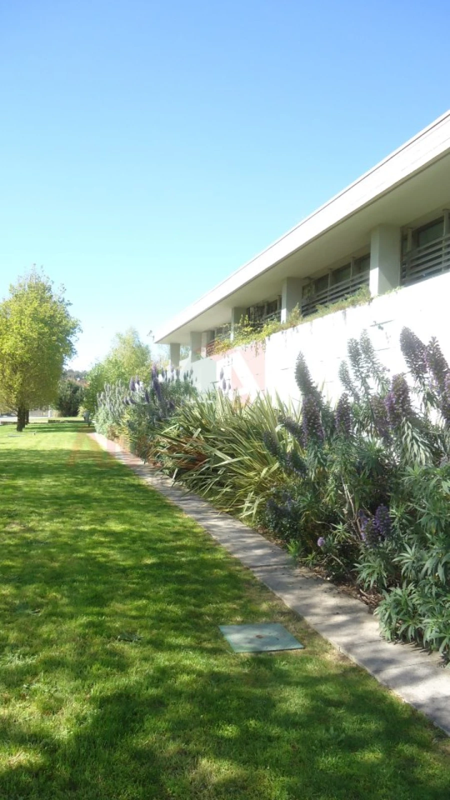 Negócio para Venda em Castêlo da Maia Foto 41