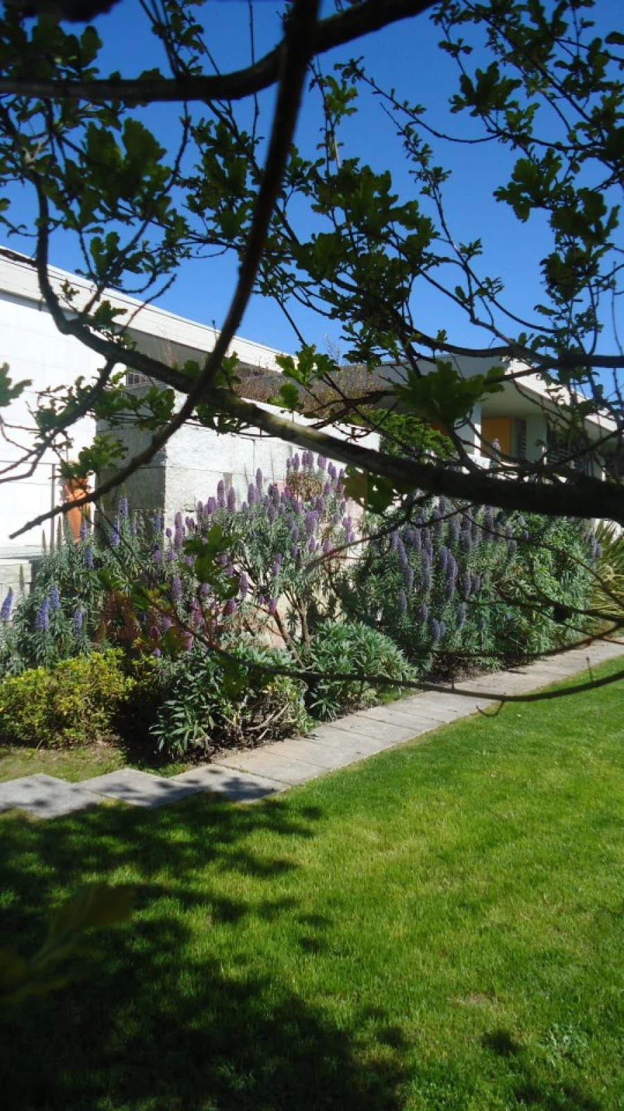 Negócio para Venda em Castêlo da Maia Foto 45