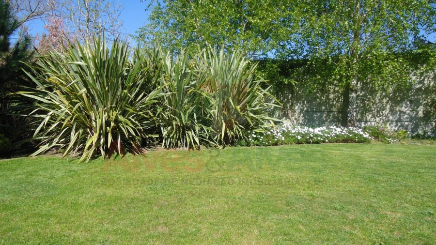 Negócio para Venda em Castêlo da Maia Foto 46
