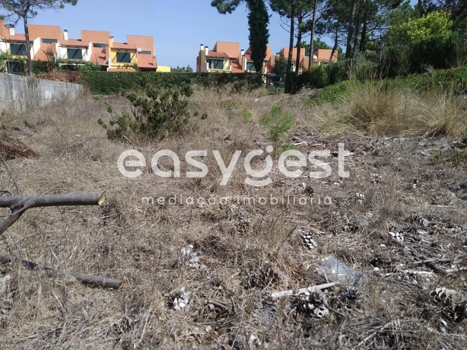 Terreno para Venda em Mira Foto 16