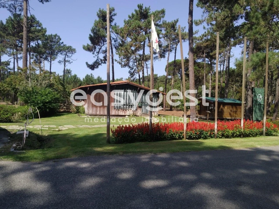 Terreno para Venda em Mira Foto 26