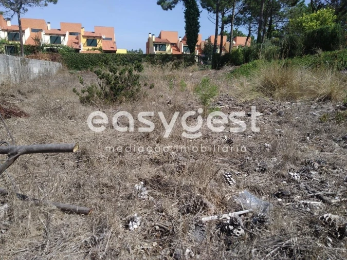 Terreno para Venda em Mira Foto 16