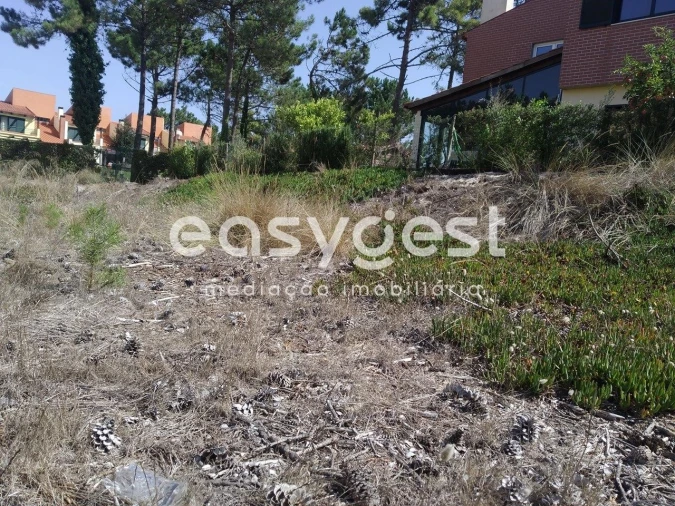 Terreno para Venda em Mira Foto 17