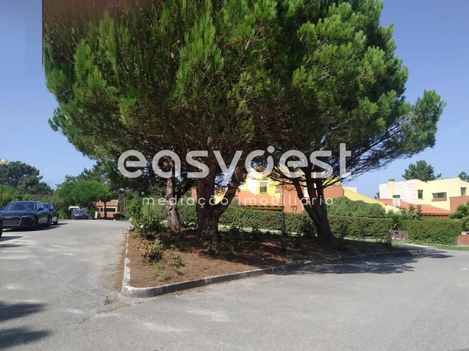 Terreno para Venda em Mira Foto 23