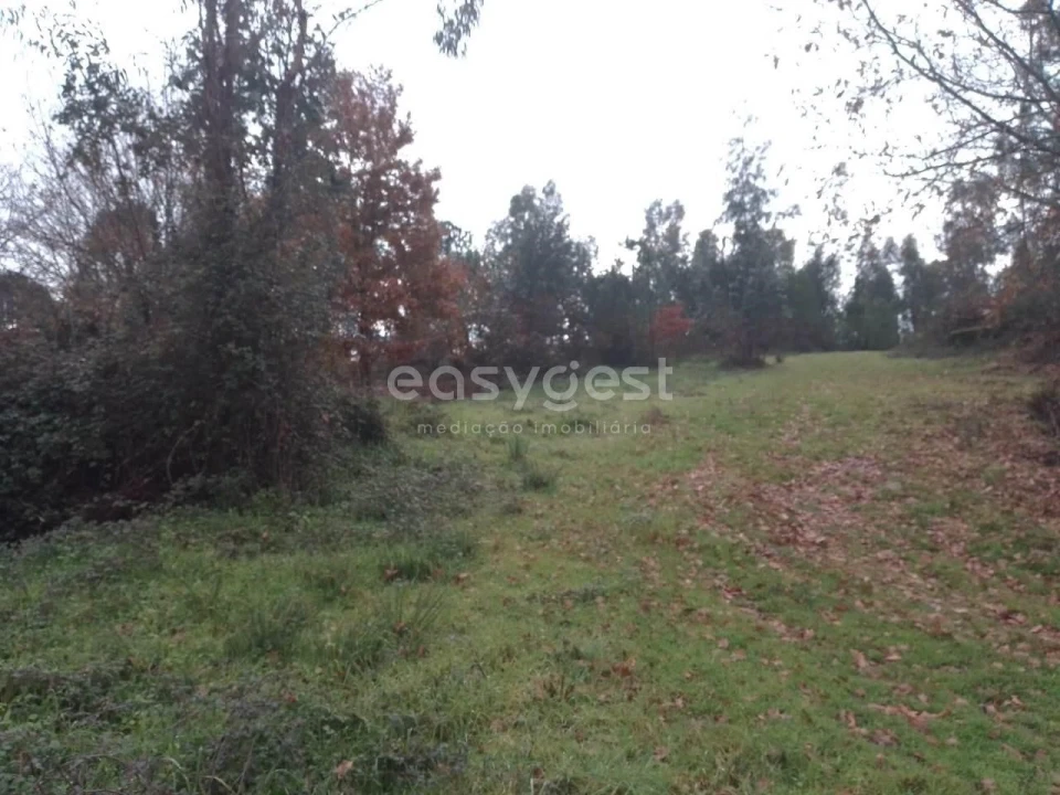 Terreno para Venda em Canas de Santa Maria Foto 2