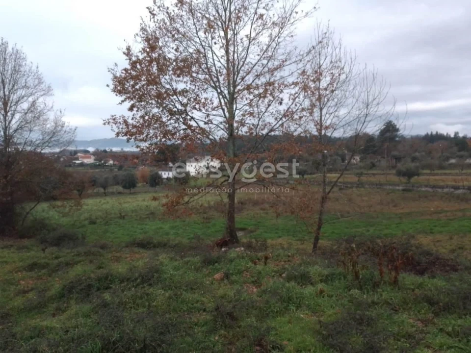 Terreno para Venda em Canas de Santa Maria Foto 3