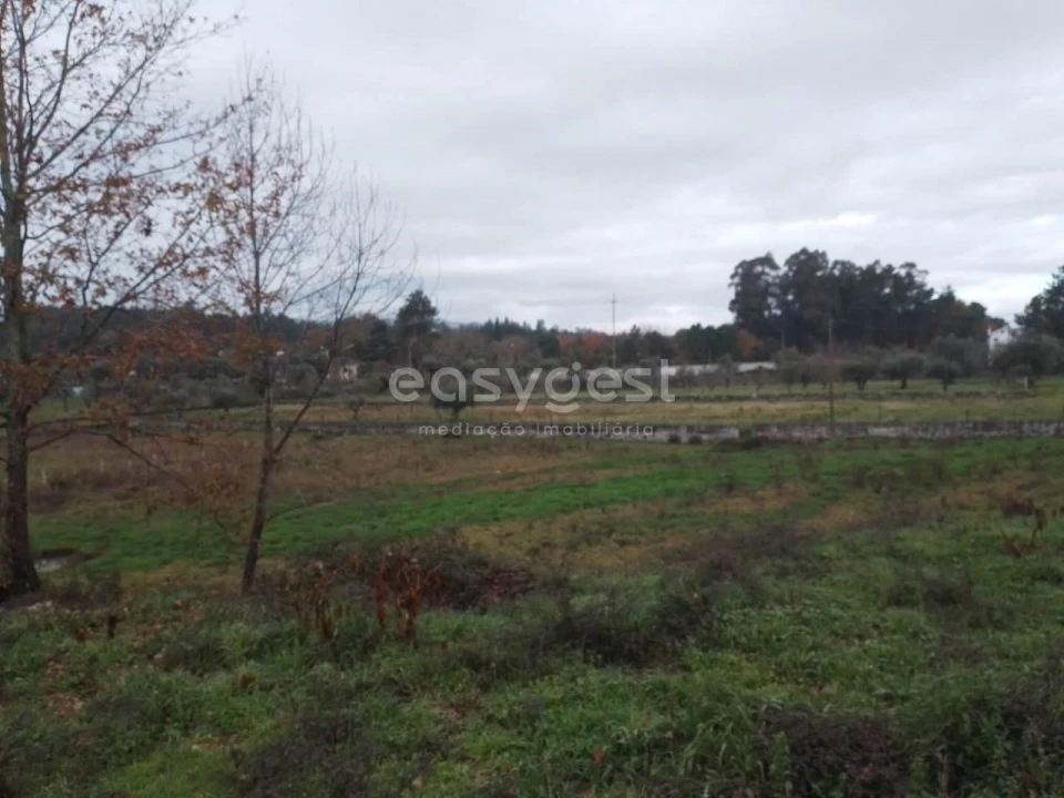 Terreno para Venda em Canas de Santa Maria Foto 5