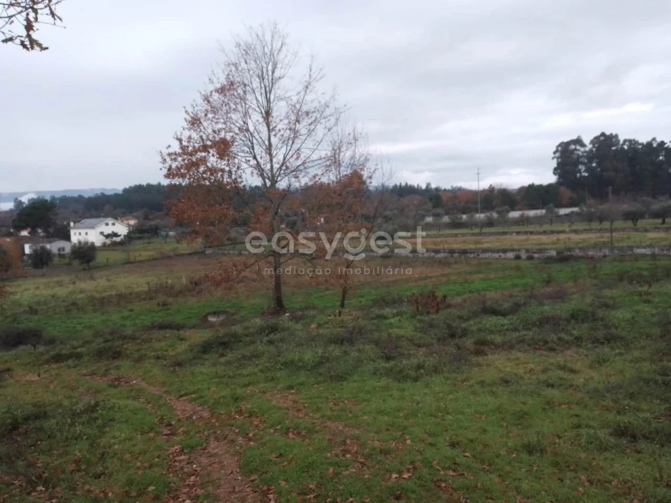 Terreno para Venda em Canas de Santa Maria Foto 6