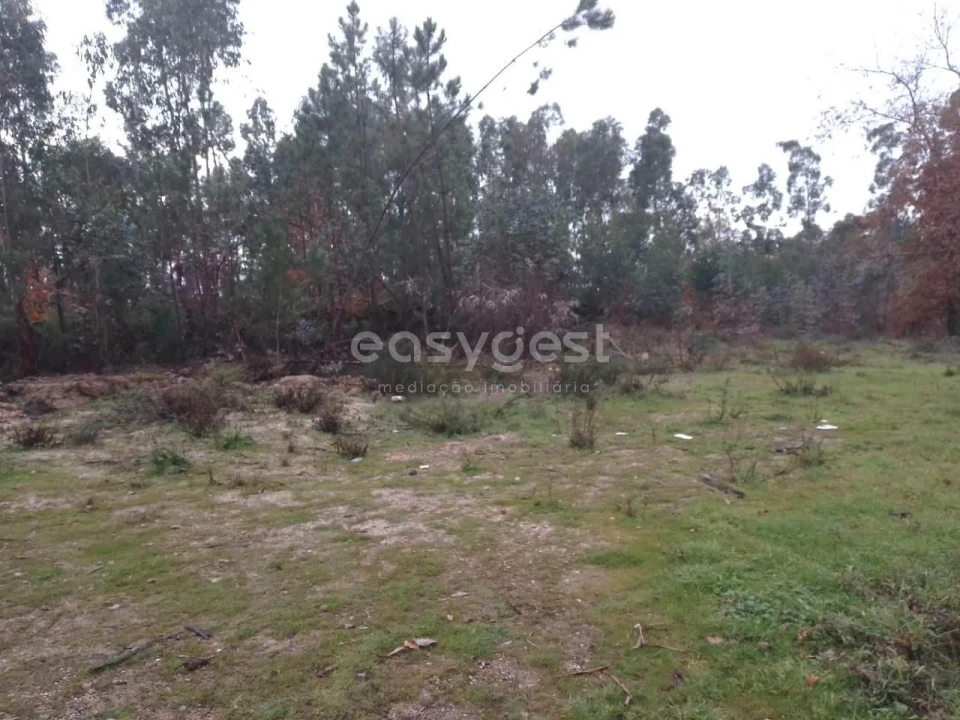 Terreno para Venda em Canas de Santa Maria Foto 7