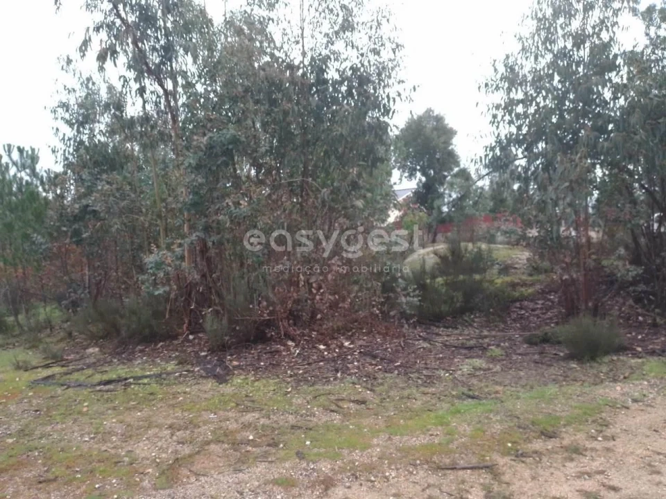 Terreno para Venda em Canas de Santa Maria Foto 8