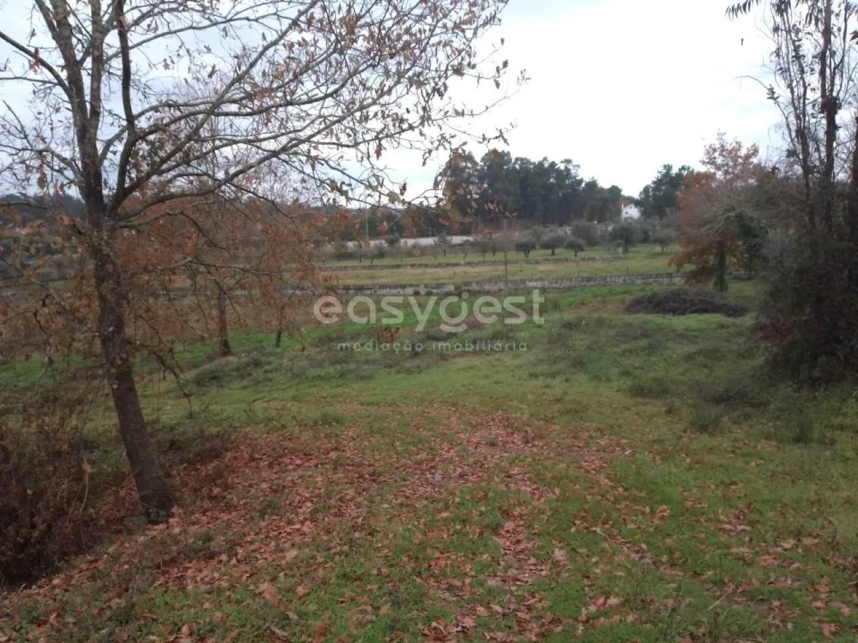 Terreno para Venda em Canas de Santa Maria Foto 9