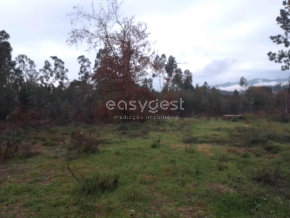 Terreno para Venda em Canas de Santa Maria Foto 10