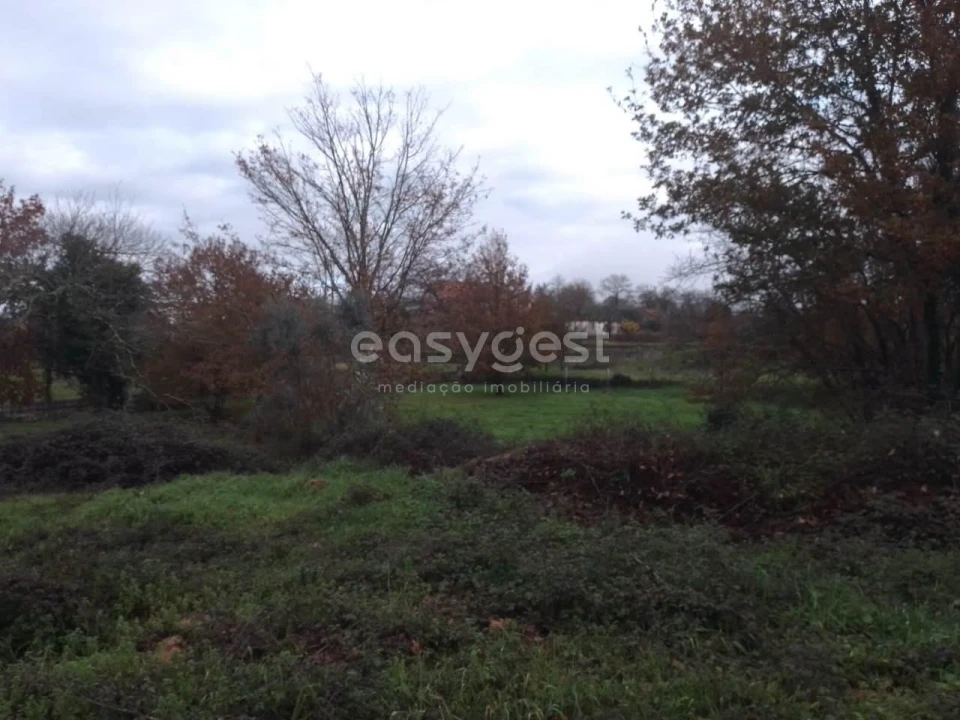 Terreno para Venda em Canas de Santa Maria Foto 11