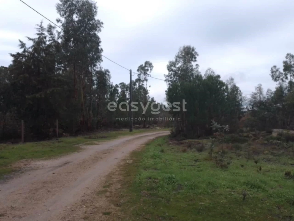 Terreno para Venda em Canas de Santa Maria Foto 12