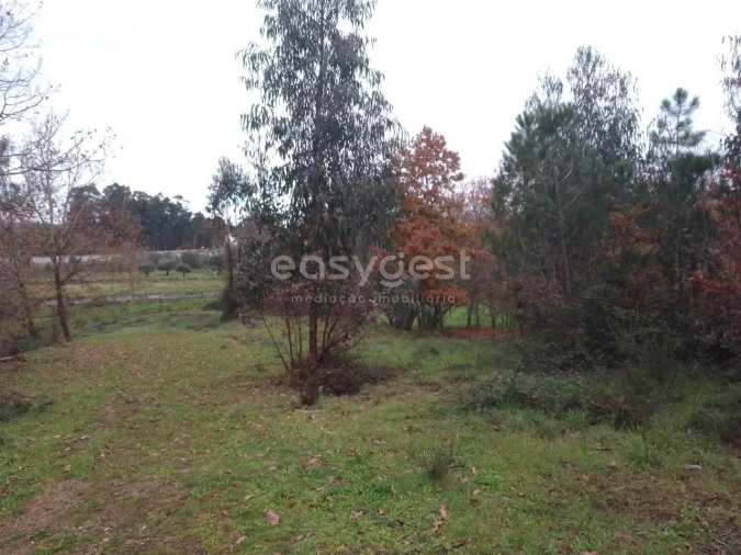 Terreno para Venda em Canas de Santa Maria Foto 4