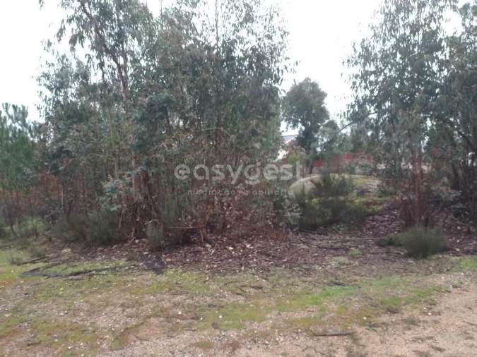 Terreno para Venda em Canas de Santa Maria Foto 8