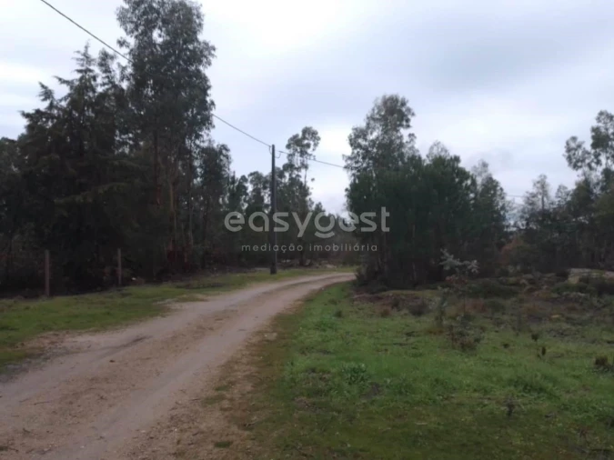 Terreno para Venda em Canas de Santa Maria Foto 12