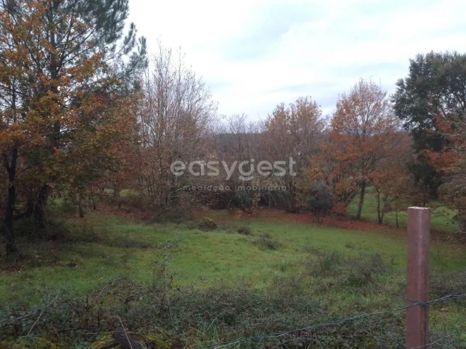 Terreno para Venda em Canas de Santa Maria Foto 15
