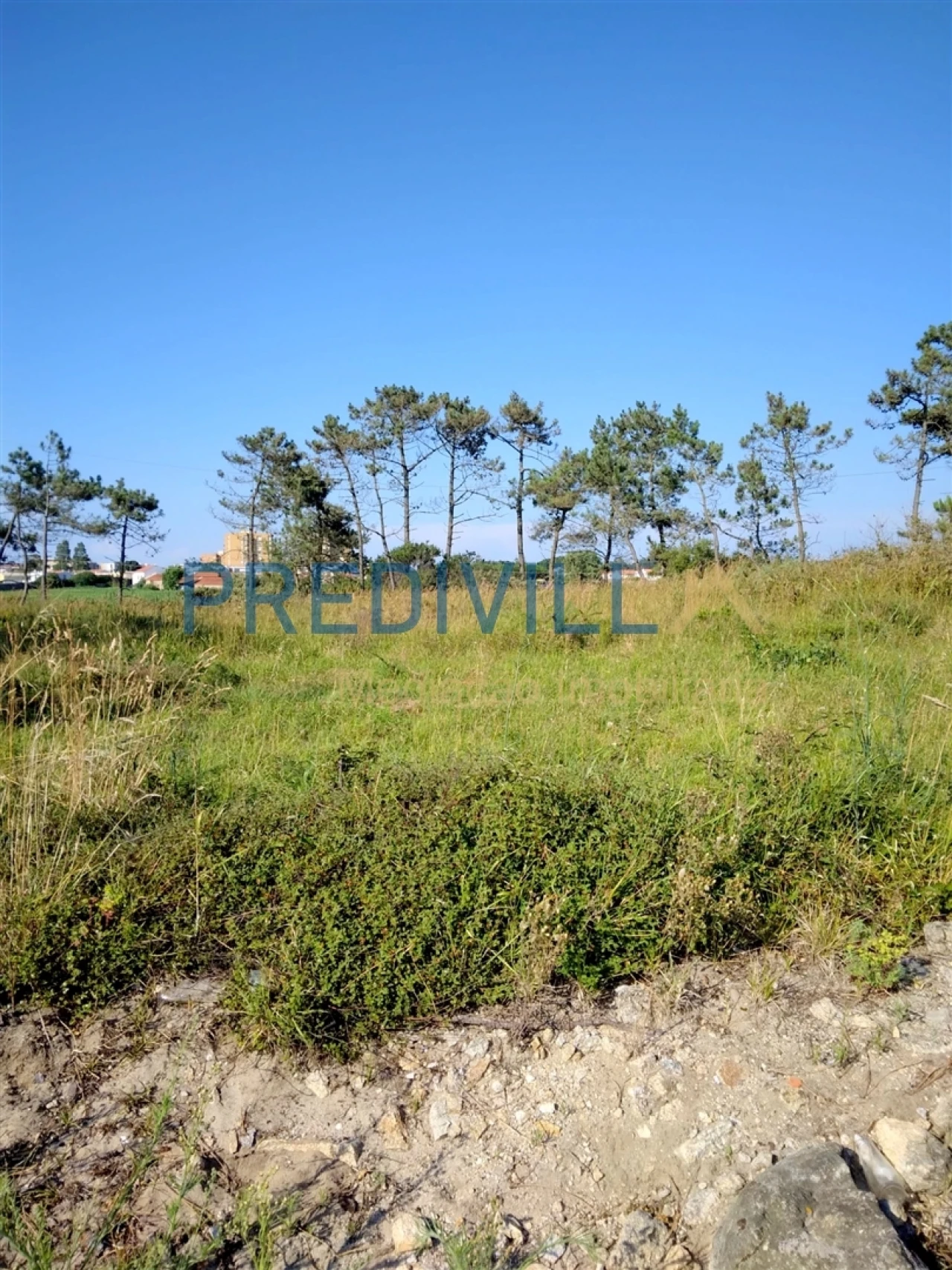 Terreno para Venda em Azurara Foto 9