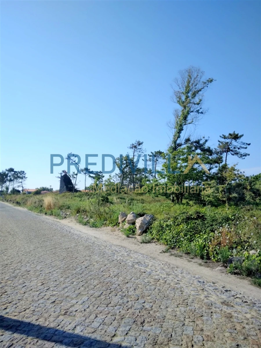 Terreno para Venda em Azurara Foto 3