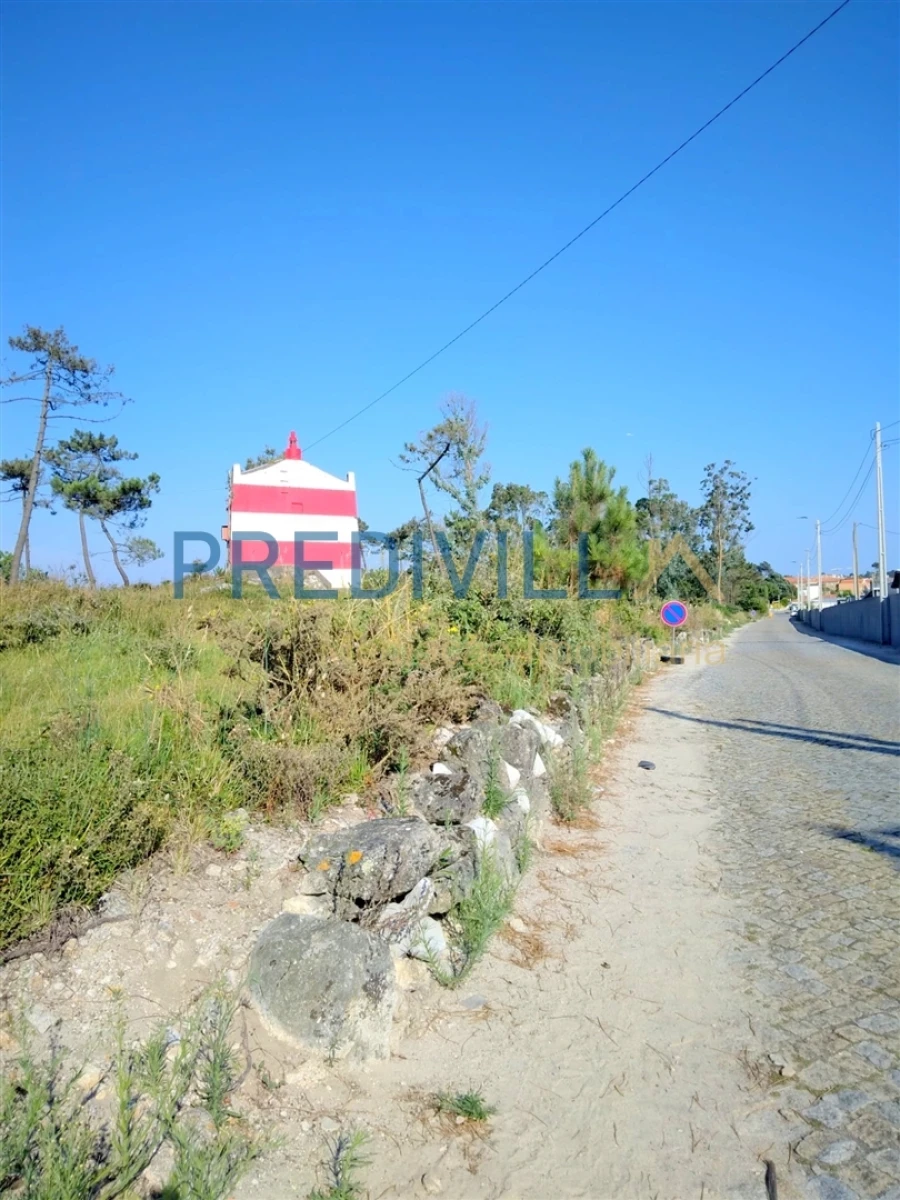 Terreno para Venda em Azurara Foto 6