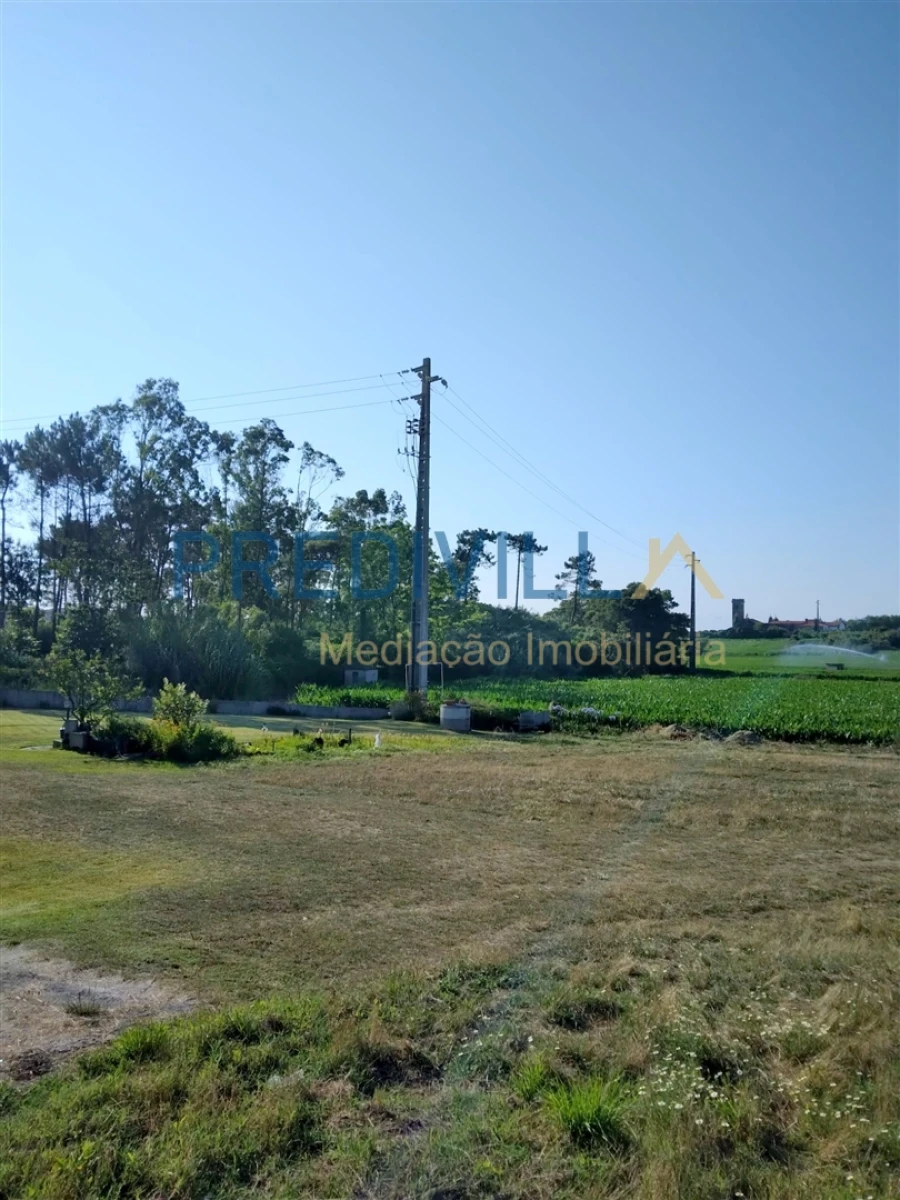 Terreno para Venda em Azurara Foto 12