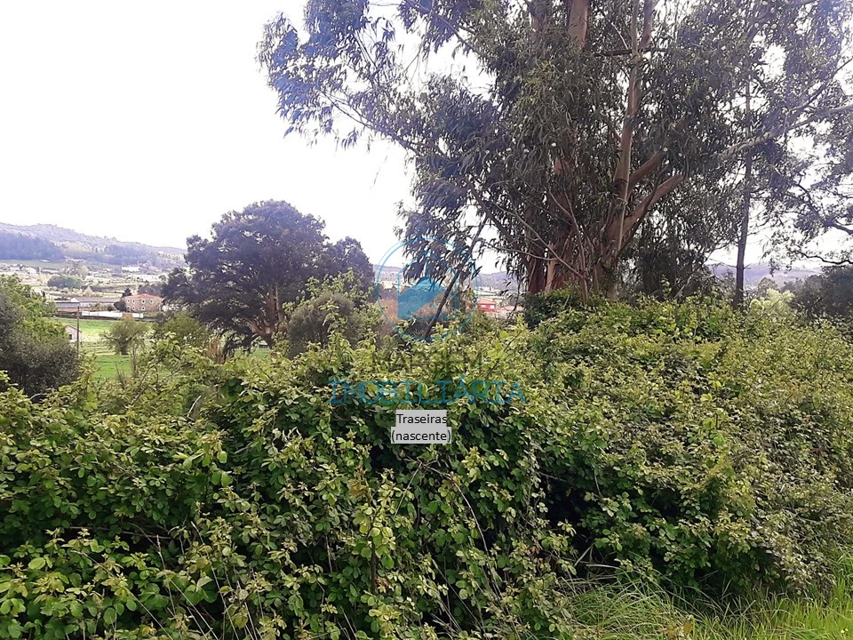 Terreno para Venda em Viatodos, Grimancelos, Minhotães, Monte Fralães Foto 1