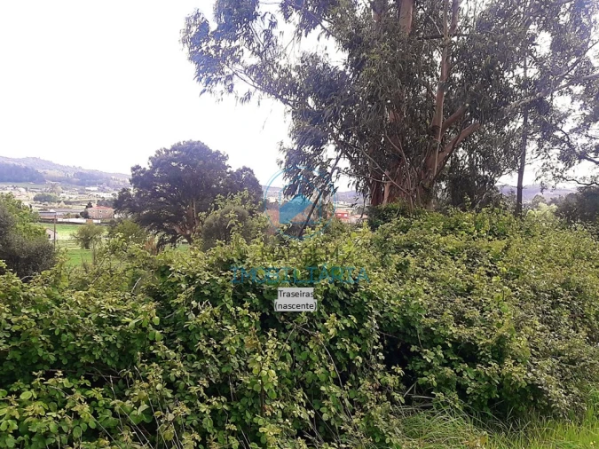 Terreno para Venda em Viatodos, Grimancelos, Minhotães, Monte Fralães Foto 1