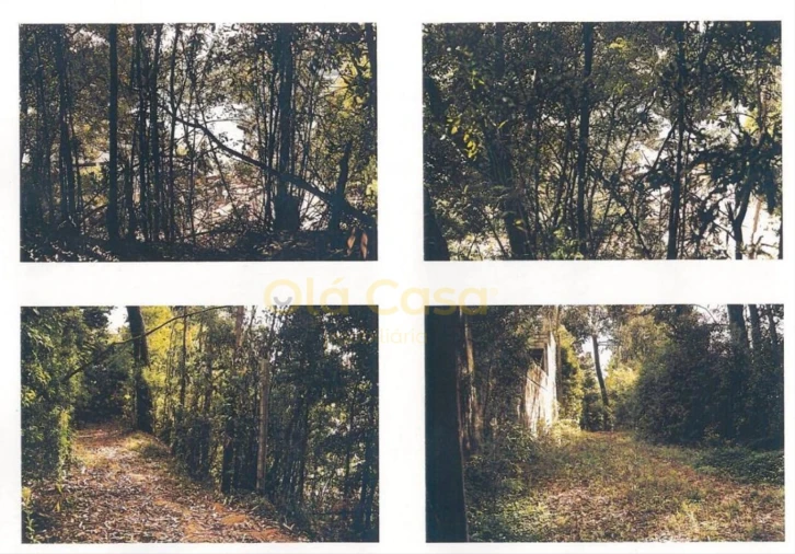 Terreno para Venda em Gondomar (São Cosme), Valbom e Jovim Foto 4