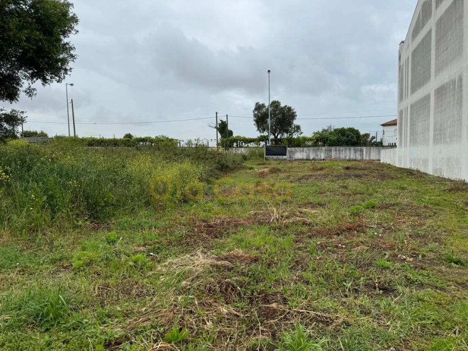 Terreno para Venda em Vila Nova da Telha Foto 11