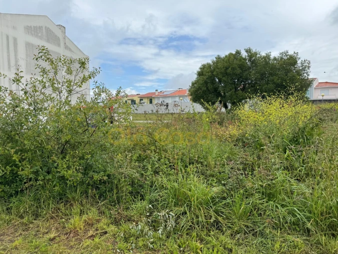 Terreno para Venda em Vila Nova da Telha Foto 5