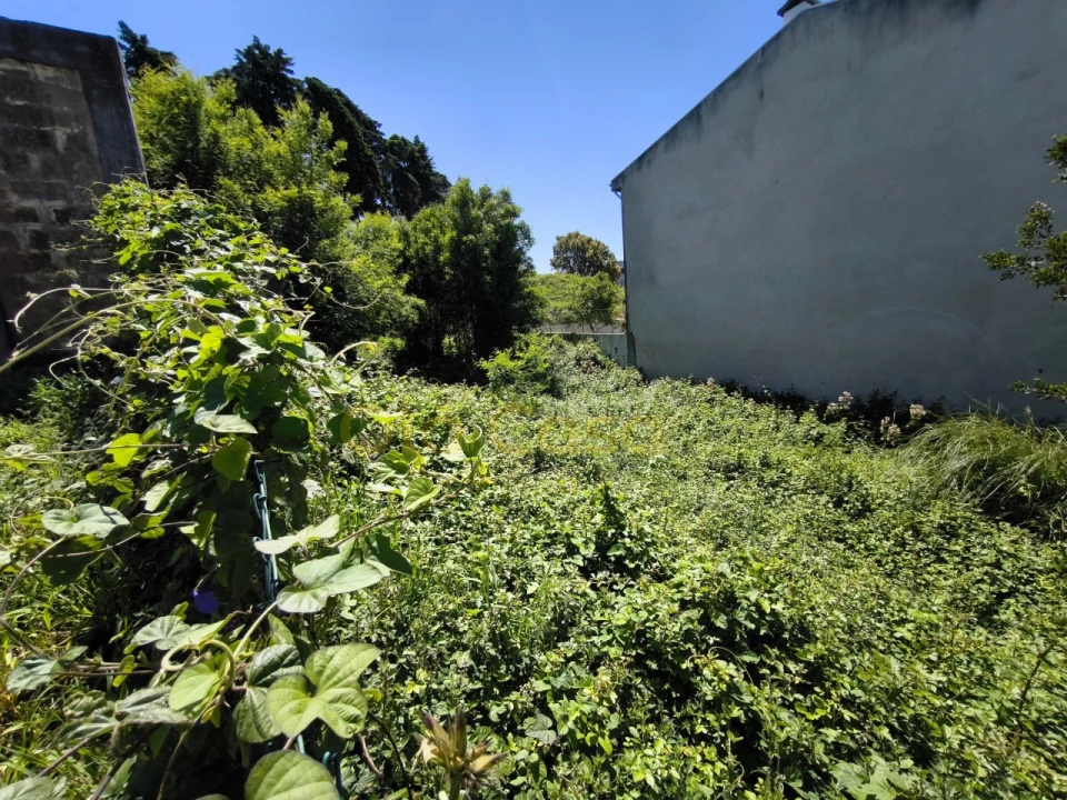 Terreno para Venda em Gondomar (São Cosme), Valbom e Jovim Foto 11