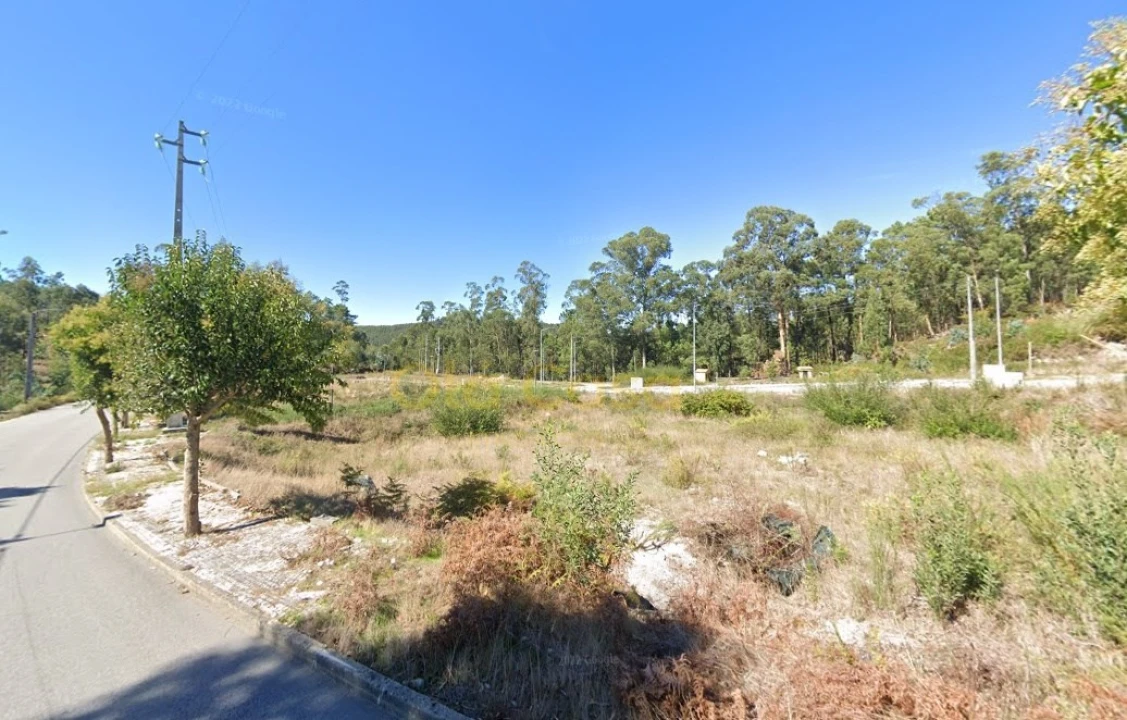 Terreno para Venda em Fajões Foto 4