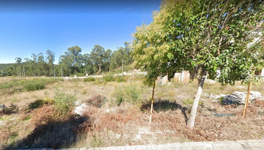 Terreno para Venda em Fajões Foto 5