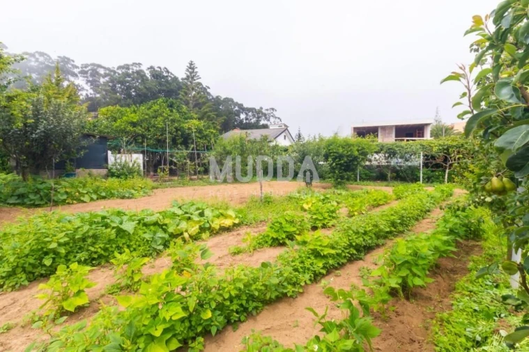 Quinta T3 para Venda em São Felix da Marinha Foto 47
