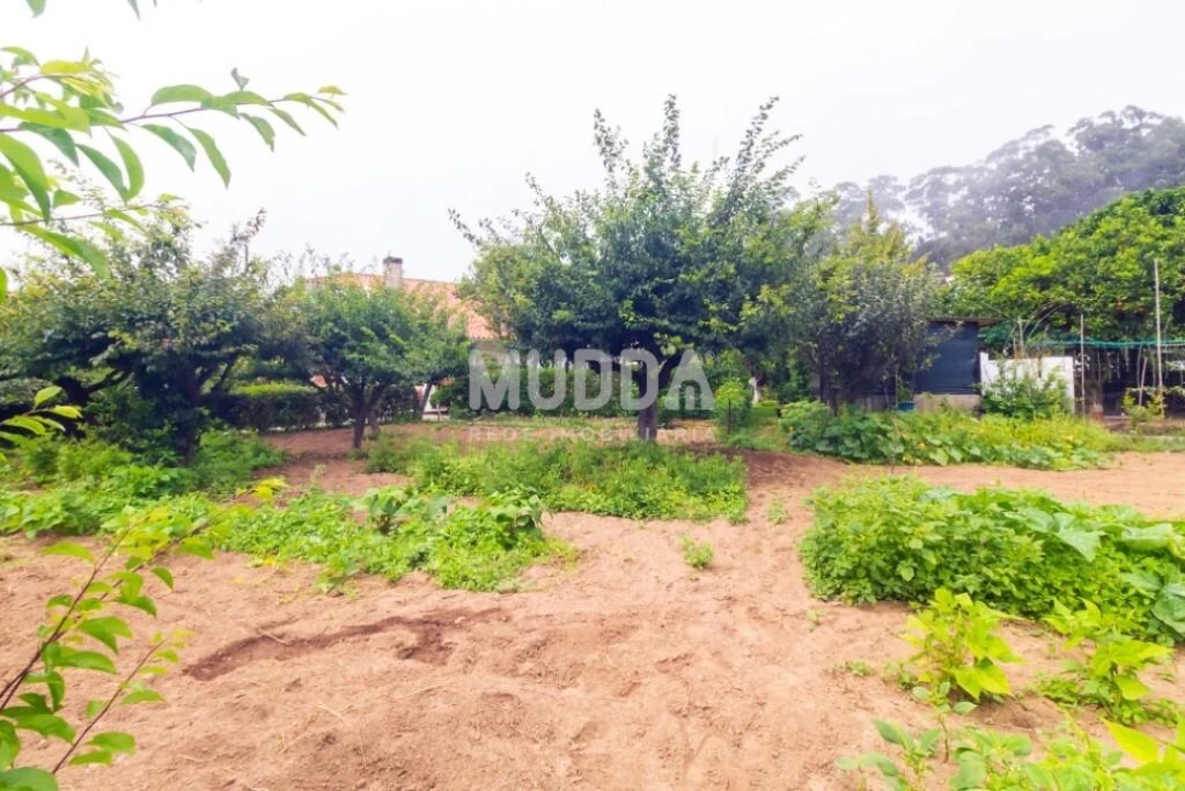 Quinta T3 para Venda em São Felix da Marinha Foto 48