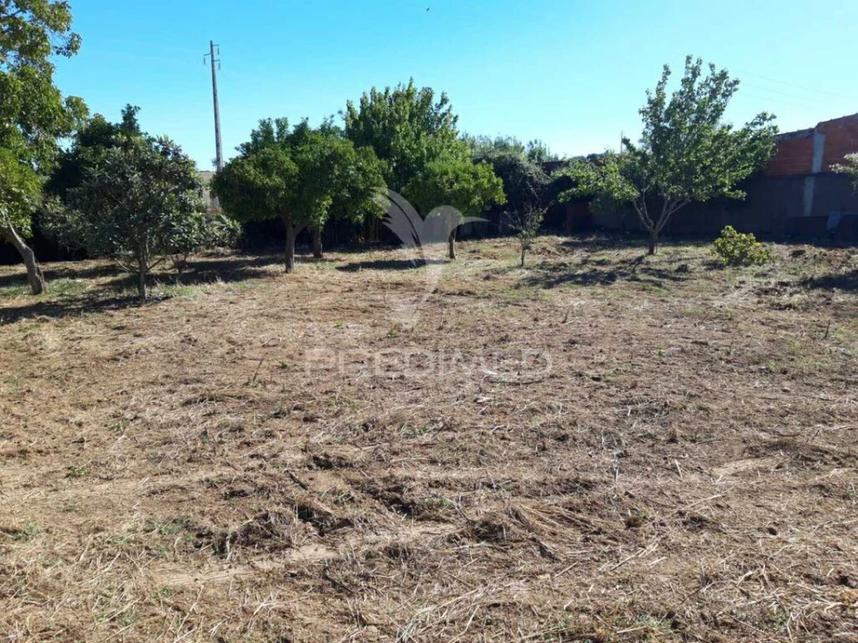 Moradia T1 para Venda em Sousel Foto 20