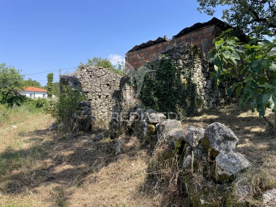 Moradia T2 para Venda em São Mamede Foto 4