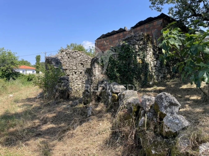 Quinta T2 para Venda em São Mamede Foto 4