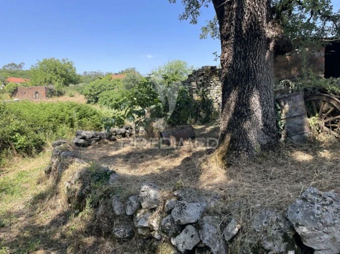 Quinta T2 para Venda em São Mamede Foto 5