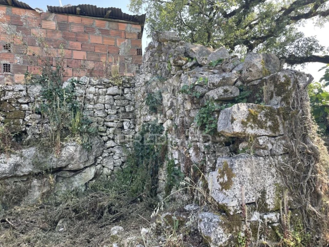 Quinta T2 para Venda em São Mamede Foto 3