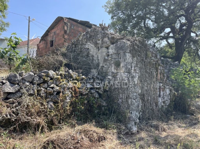 Quinta T2 para Venda em São Mamede Foto 1