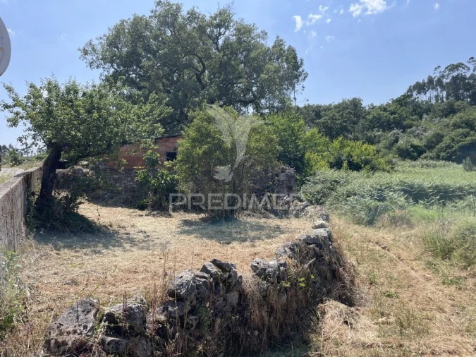 Quinta T2 para Venda em São Mamede Foto 6