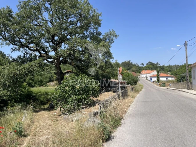 Quinta T2 para Venda em São Mamede Foto 11